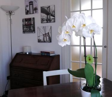 Ancona Apartment | Mansarda DaSy