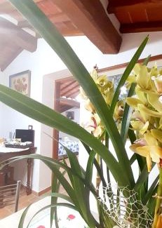 Rigomagno Apartment | Mansarda degli Ulivi