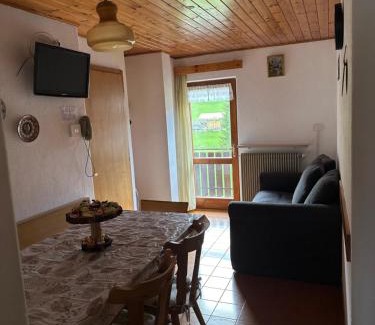 Pie Falcade Apartment | Mansarda nelle dolomiti