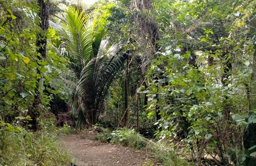 Raglan Apartment | Manu Bay Homestay.With great views.Access beach on bush track from here.