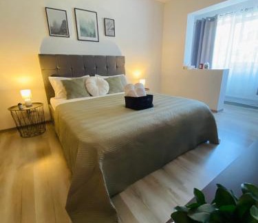 Baile Herculane Apartment | Mara apartment