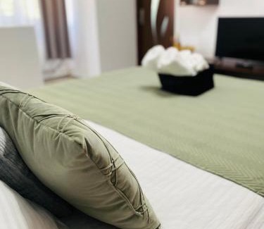 Baile Herculane Apartment | Mara apartment