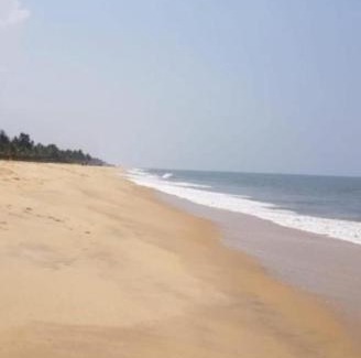 Mararikulam House | Marari Beach House