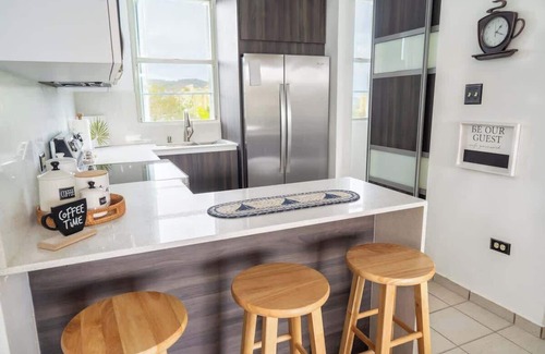 Machos Condo | Marbella | PH Rooftop Oasis in Costa Brava, Ceiba