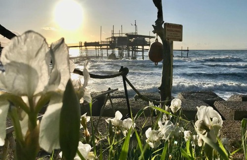 San Salvo Marina Apartment | MARE E BICI