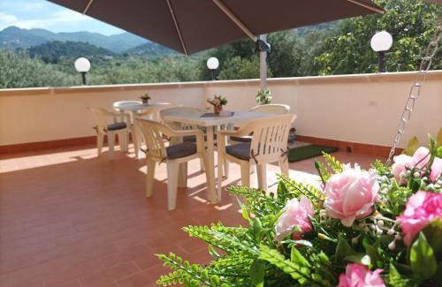 Patti House | MARE NATURA