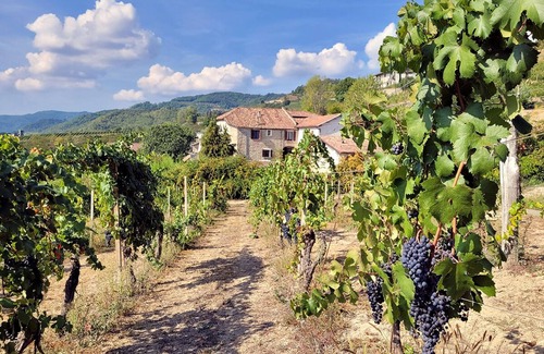 Cessole House | MARENCO LANGHE COUNTRY HOUSE Barbera | with pool, garden, view, wi-fi