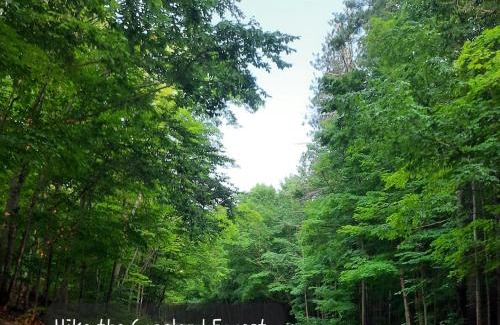 Oro-Medonte Apartment | Margarita Vacation Getaway
