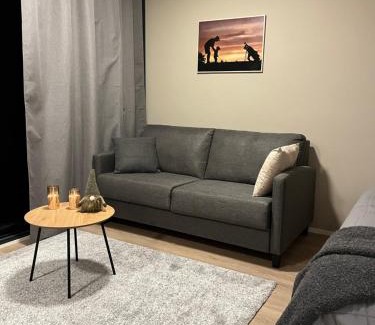 Kalajoki Apartment | Marinan Portin Svingi A23 lemmikit sallittu