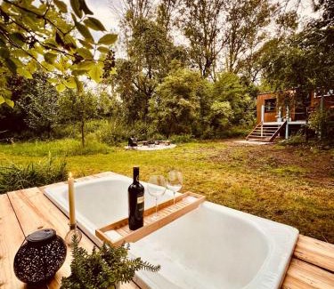 Pacejov House | Maringotka Pomněnka