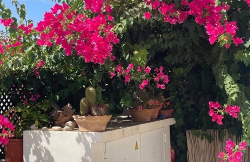 Ses Bardetes House | Marino house, your beach house