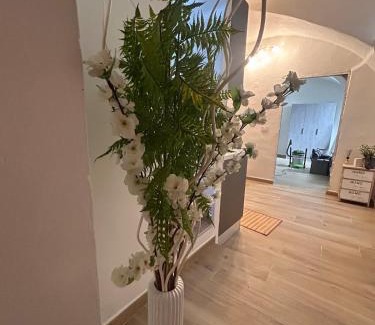 Santa Caterina Apartment | Mariposa Sassari