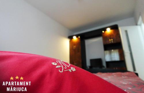 Busteni Apartment | Mariuca Apartament