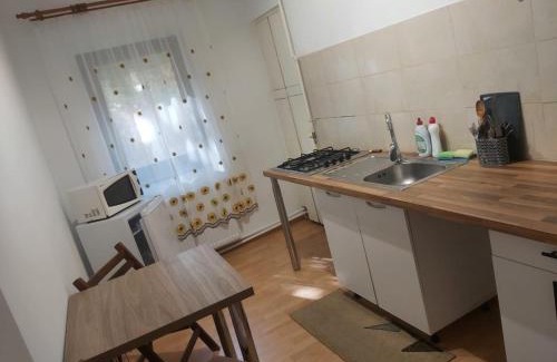 Busteni Apartment | Mariuca Apartament