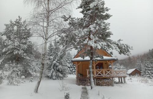 Cisna House | Markowa Chata
