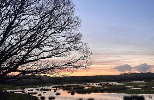 Brading Other | Marsh Farm