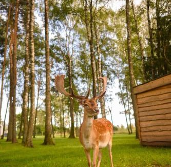 Plavniekkalns House | Marupes pirts