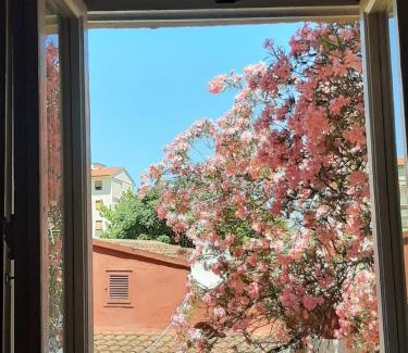 Isolotto Apartment | Mary&Flo House - A due passi dal centro - free private parking