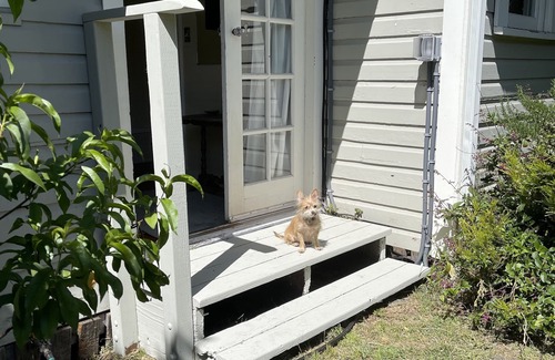 Garberville Cottage | Mary's Place is a historic cottage with private garden in the center of town.
