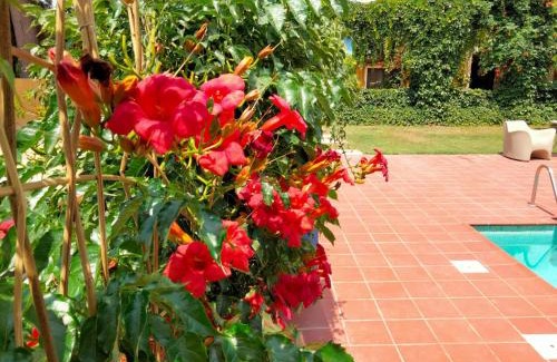 L'Aldea House | MAS DE BERNIS - Estiu