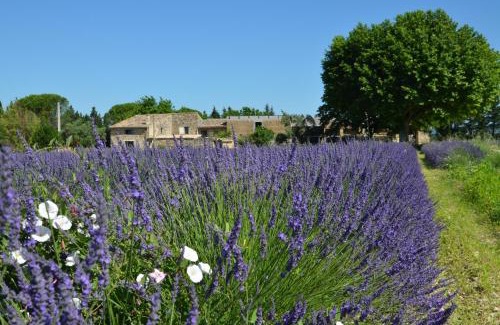 Valreas Bed & Breakfast | Mas de l'Amme