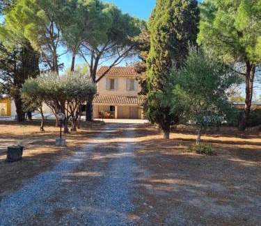 Montredon-des-Corbieres Apartment | Mas de la vigne