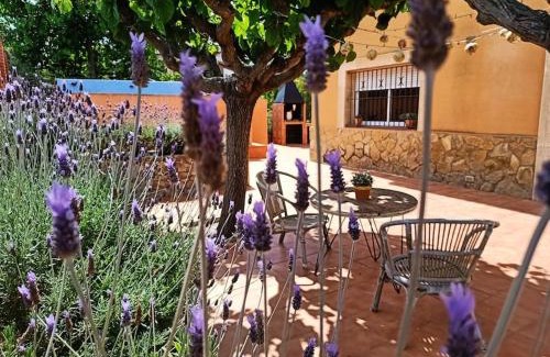 Costa Cunit House | MAS DEL VENT- Barbacoa, jardín, piscina privada y vistas a mar