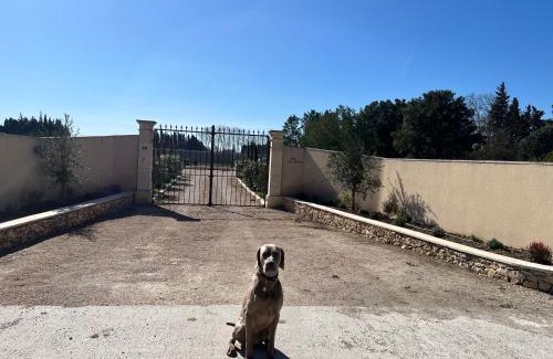 Saint-Andiol Bed & Breakfast | Mas Galinette