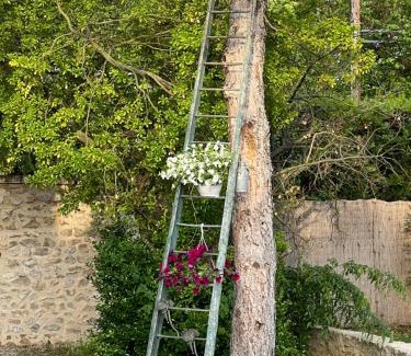 Saint-Andiol Bed & Breakfast | Mas Galinette