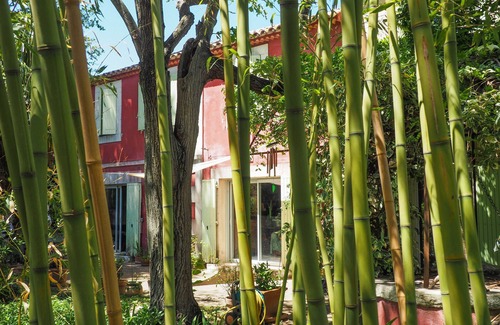 Arles House | Mas on large wooded plot with natural swimming pond.
