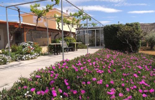 Huercal-Overa Bed & Breakfast | Mas Solana