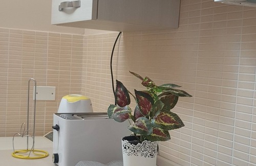 San Giacomo degli Schiavoni Apartment | Masangy's Studio