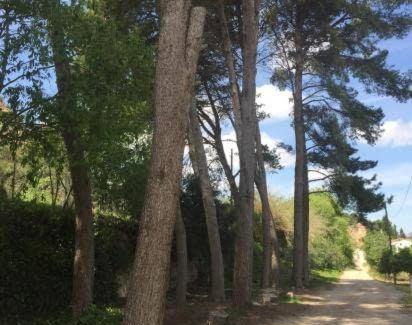 Xerta Villa | MASIA LA MOLINERA