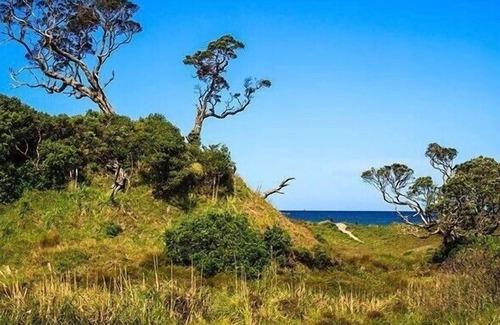 Matapouri Cottage | MATAPOURI DUNES - MATAPOURI HOLIDAY HOME, with a garden in Matapouri