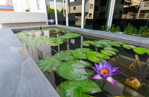 Rangsit Hotel | Matini Premium @ Klong 1