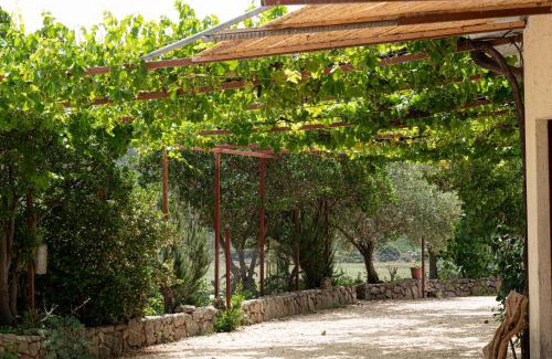 Loculi House | Matta e Sole