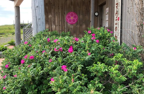 Sapporo House | Mauni Gardens Nature overlooking Ishikari Bay