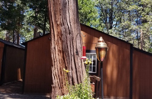 Glencoe Apartment | Maura's She Shed at the Trails End" private studio in the mountains.