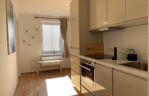 Hohenweiler Apartment | Maurerhaus Deluxe Studio, Top 2