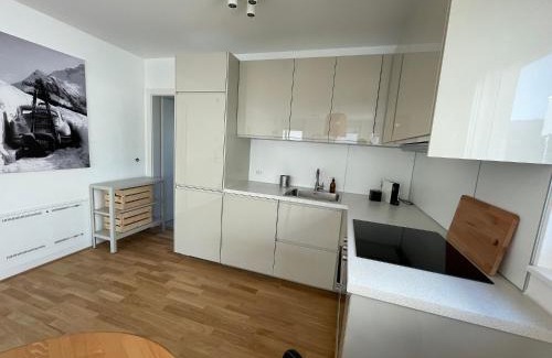 Hohenweiler Apartment | Maurerhaus Studio, Top 4