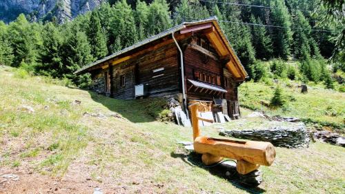 Evolene Ski Chalet | Mayen Praz dau Lauc Charme et nature 4 personnes