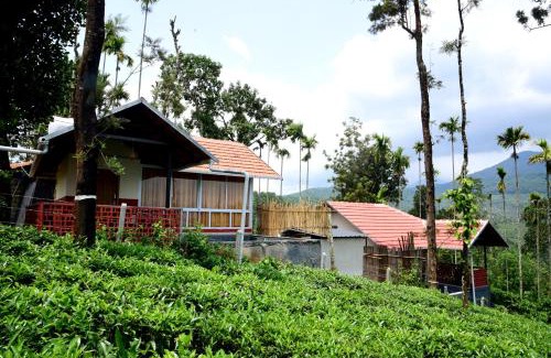 Kottappadi part Villa | Mayflower Holiday Villa