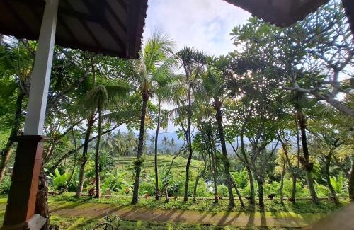Sei Pinang House | Mayong Harmony Villa