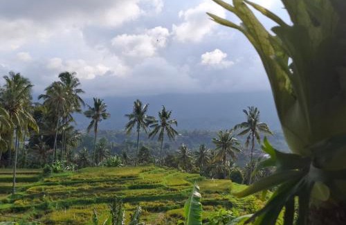 Sei Pinang House | Mayong Harmony Villa