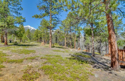 Buena Vista House | McCall Creekside Cabin Secluded Buena Vista Gem!