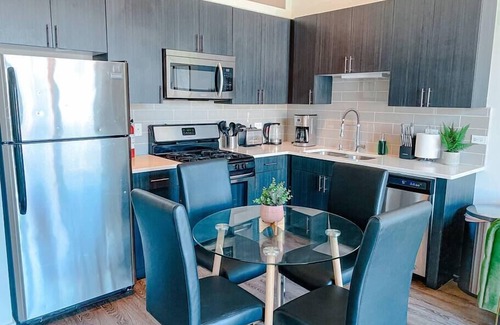 Near South Side Apartment | McCormick Place Skyline view 2br/2ba with optional parking for up to 8 guests
