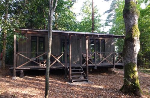 Pieriga House | Meža māja