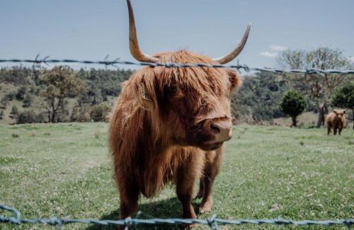 Carrabolla House | Meadow View Cottage