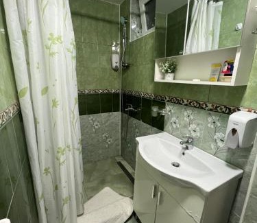 Zalau Apartment | Medeea 1 camera Astralis