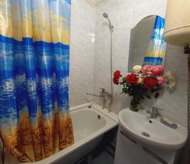 Karakol Apartment | Medina